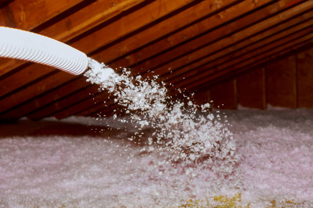 Insulation Repair Services in Frewsburg, NY