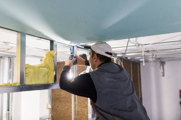 Best Insulation Contractor Near Me  in Frewsburg, NY